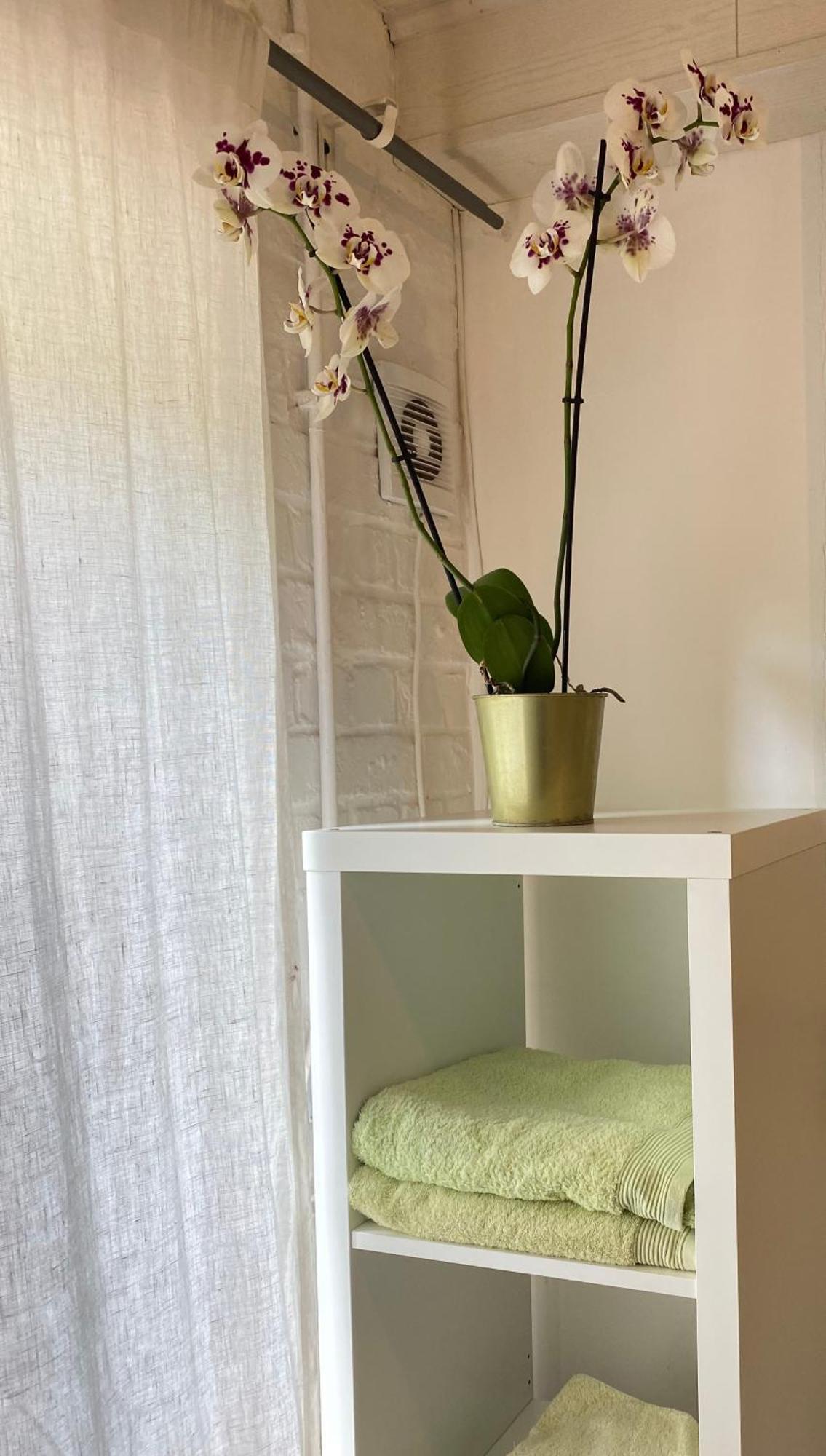Appartement Chambre Chants D'oiseaux Brussel
